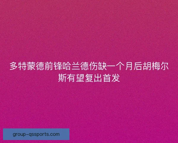多特蒙德前锋哈兰德伤缺一个月后胡梅尔斯有望复出首发